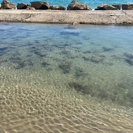 Il Cavalluccio Anzio Esterno foto