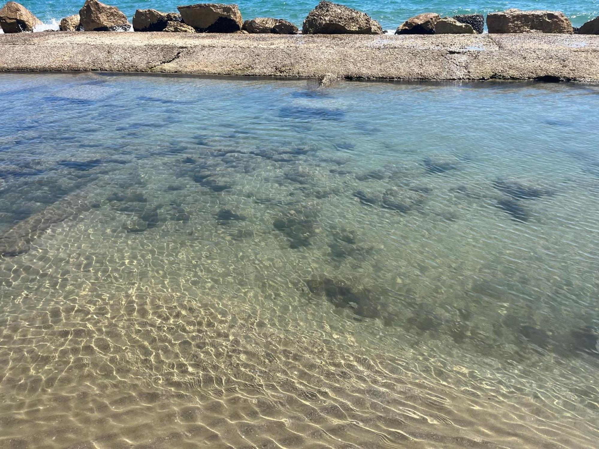 Il Cavalluccio Anzio Esterno foto